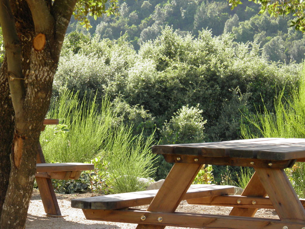 L'Ogliastru Bed and Breakfast Ucciani Buitenkant foto