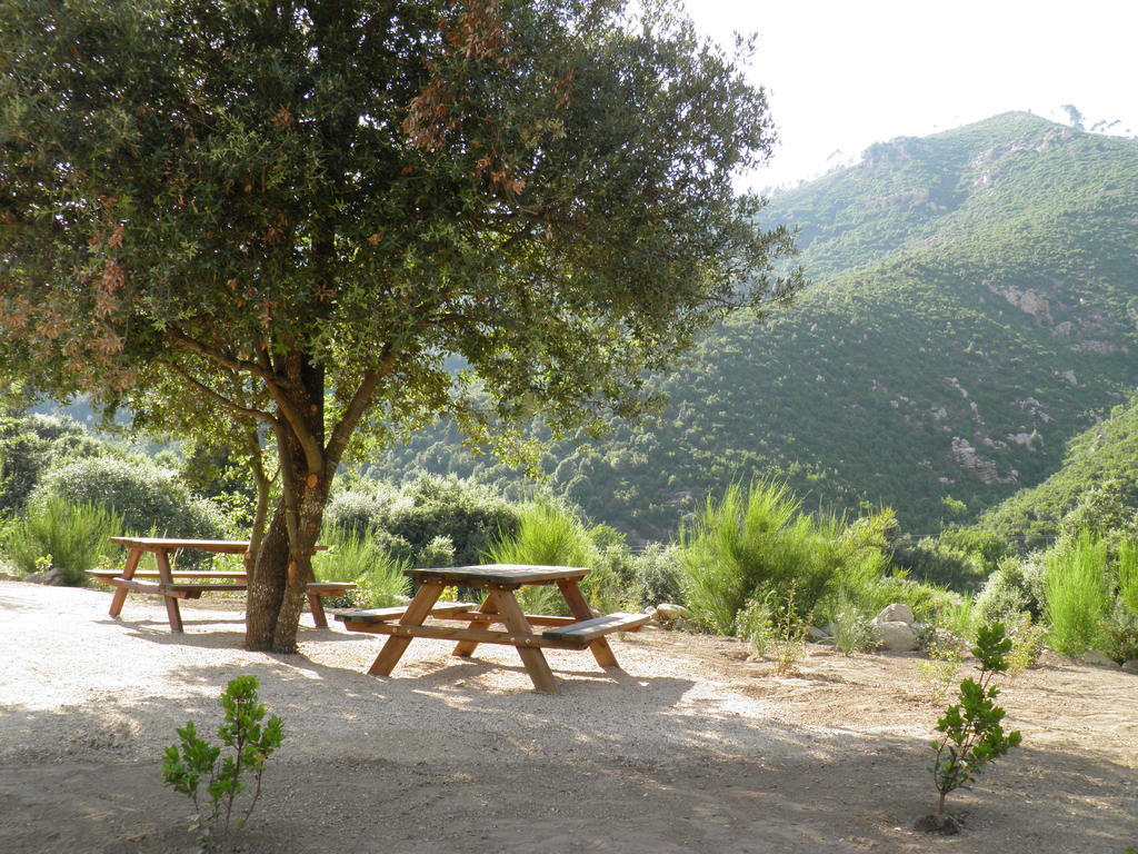 L'Ogliastru Bed and Breakfast Ucciani Buitenkant foto