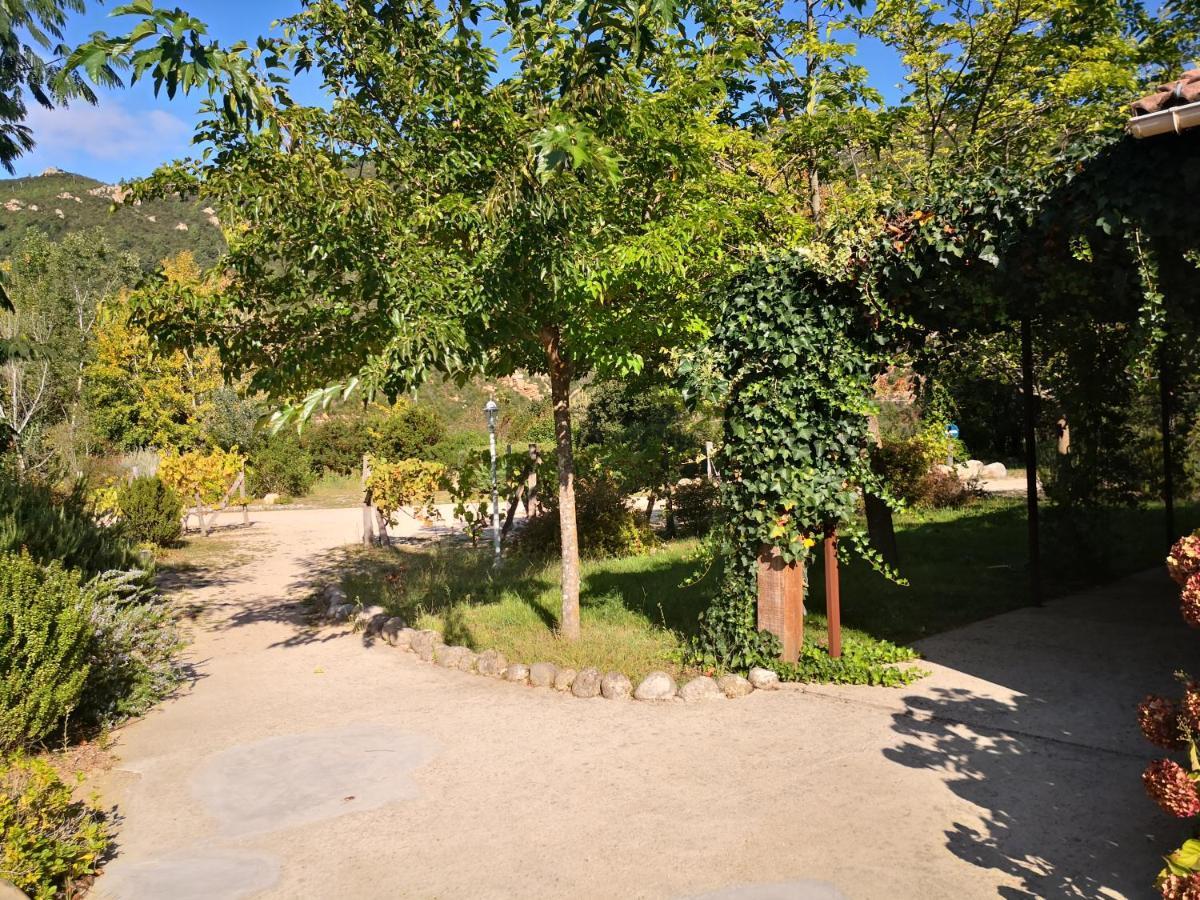 L'Ogliastru Bed and Breakfast Ucciani Buitenkant foto
