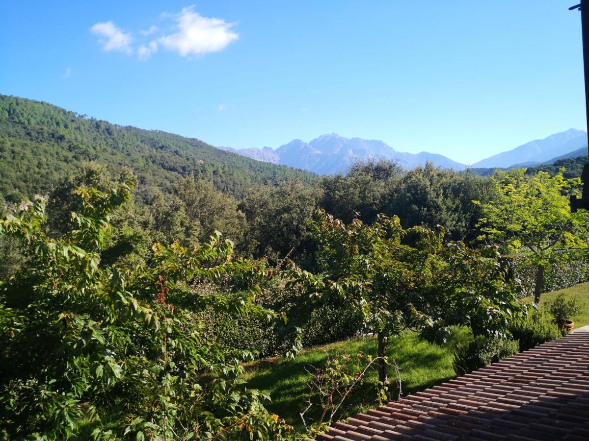 L'Ogliastru Bed and Breakfast Ucciani Buitenkant foto